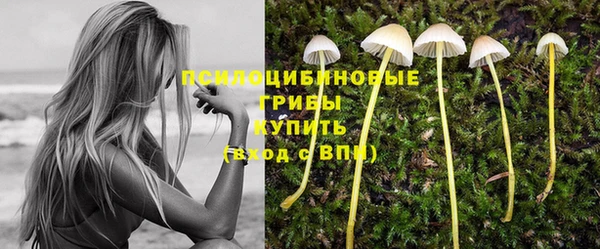 винт Сосновоборск