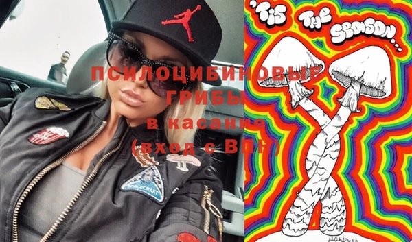 таблы Белокуриха