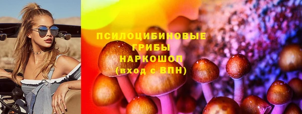spice Беломорск